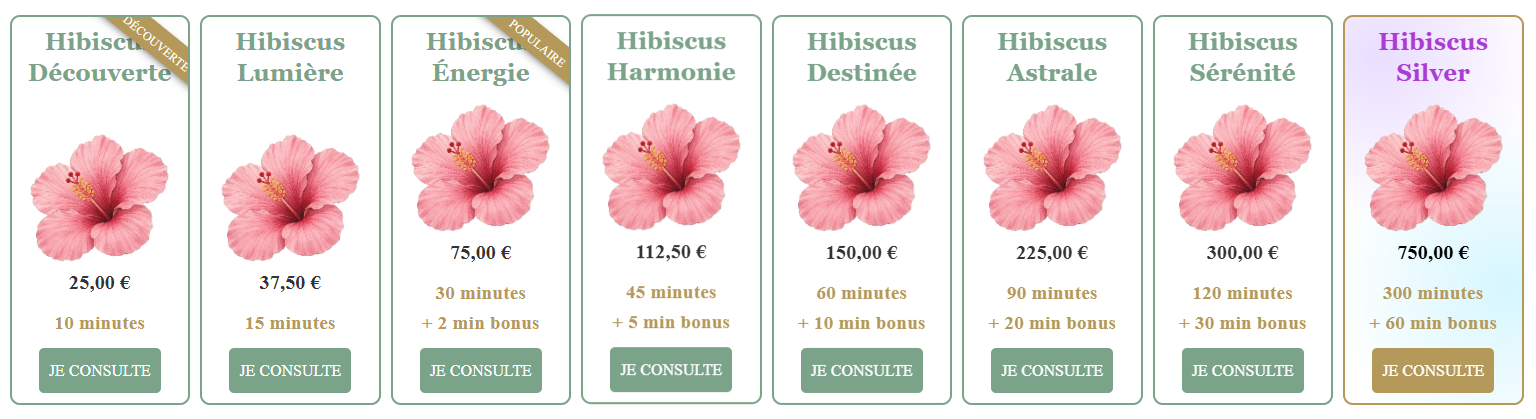 Système de minutes rechargées pour contrôler son budget de voyance